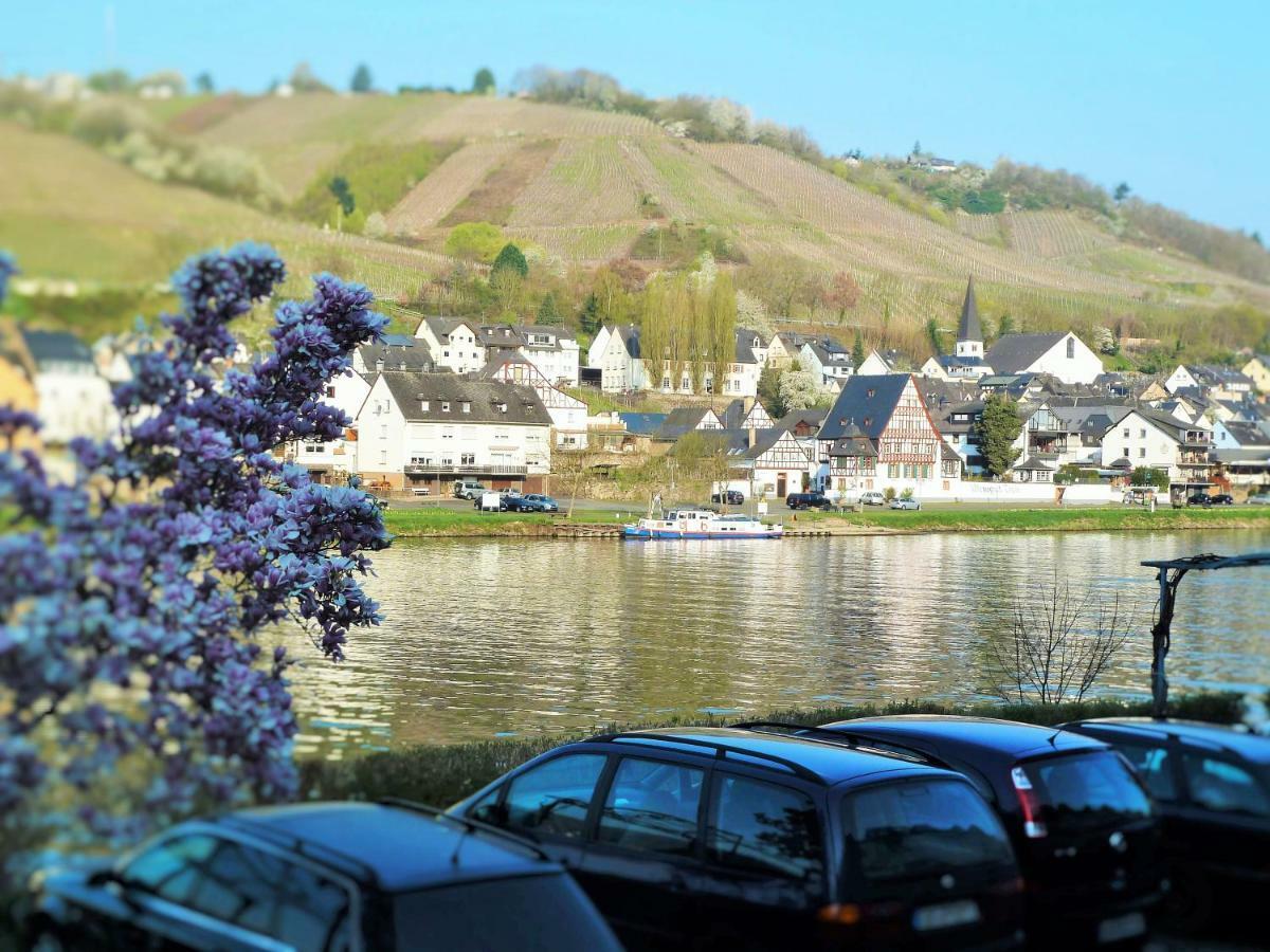 Apartamento Mosel Ausblick Zell Exterior foto